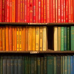 Three shelfs of books. The top shelf has red books. The middle shelf has books in orange, yellow and green. The bottom shelf has books in blue and purple.