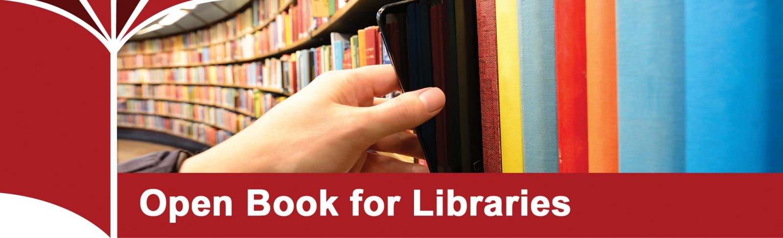 Open book for libraries