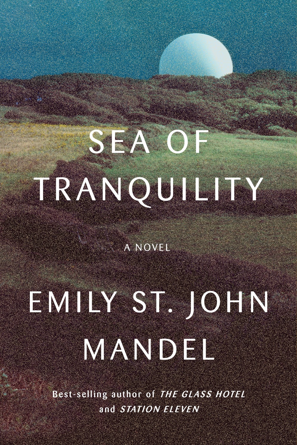 ​​​​​​​Sea of tranquility: A novel 