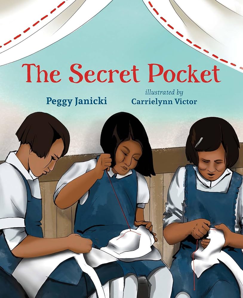 Cover of the book The Secret Pocket by Peggy Janicki.