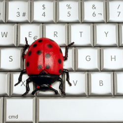 A red ladybug sits on top of a white computer keyboard.