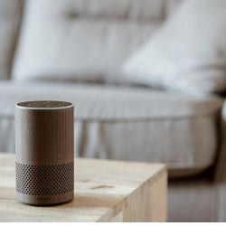 An Amazon Alexa speaker on a wooden table.