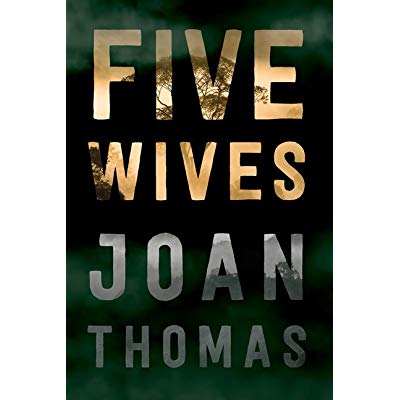 image of book cover of Five Wives