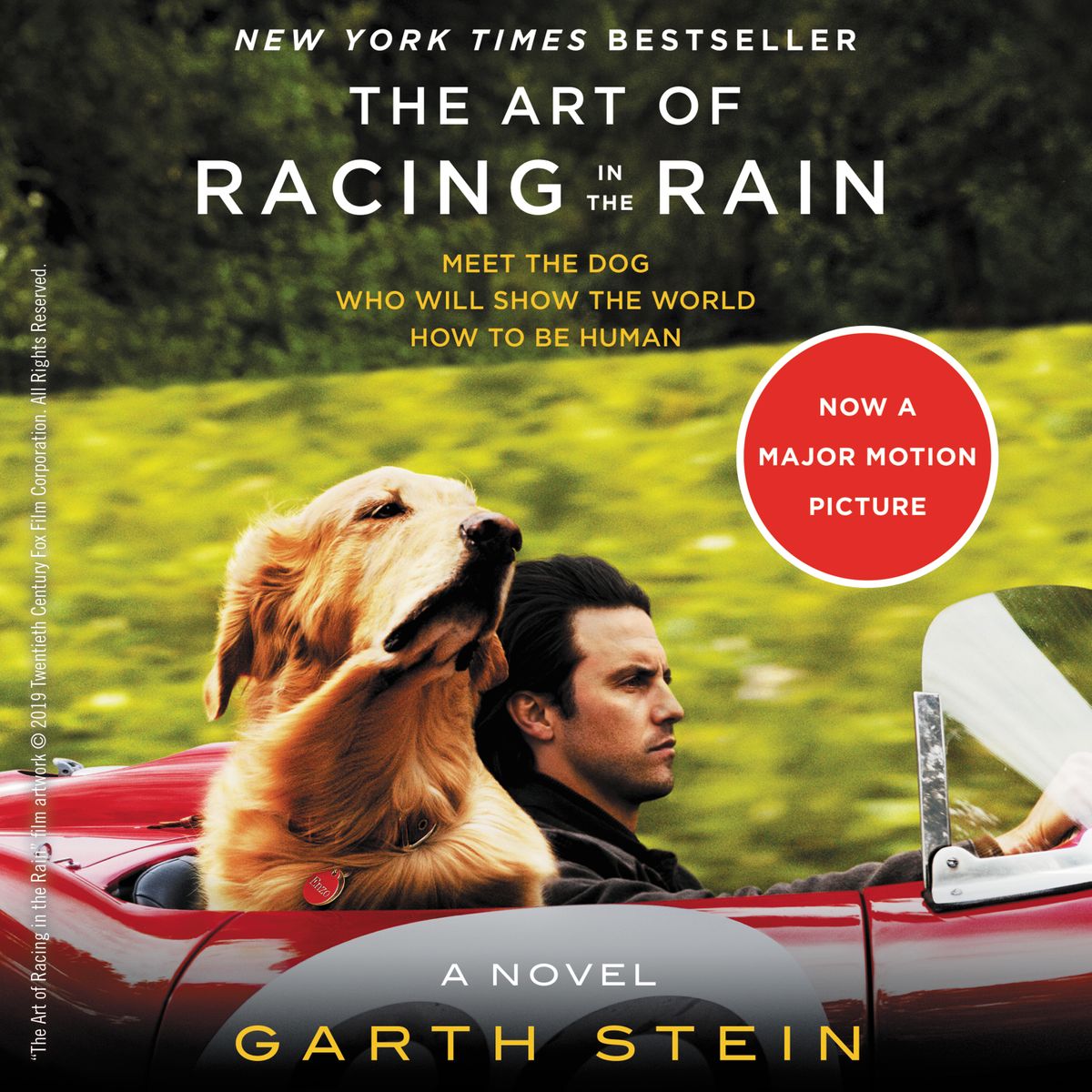 book cover The Art of Racing in the Rain