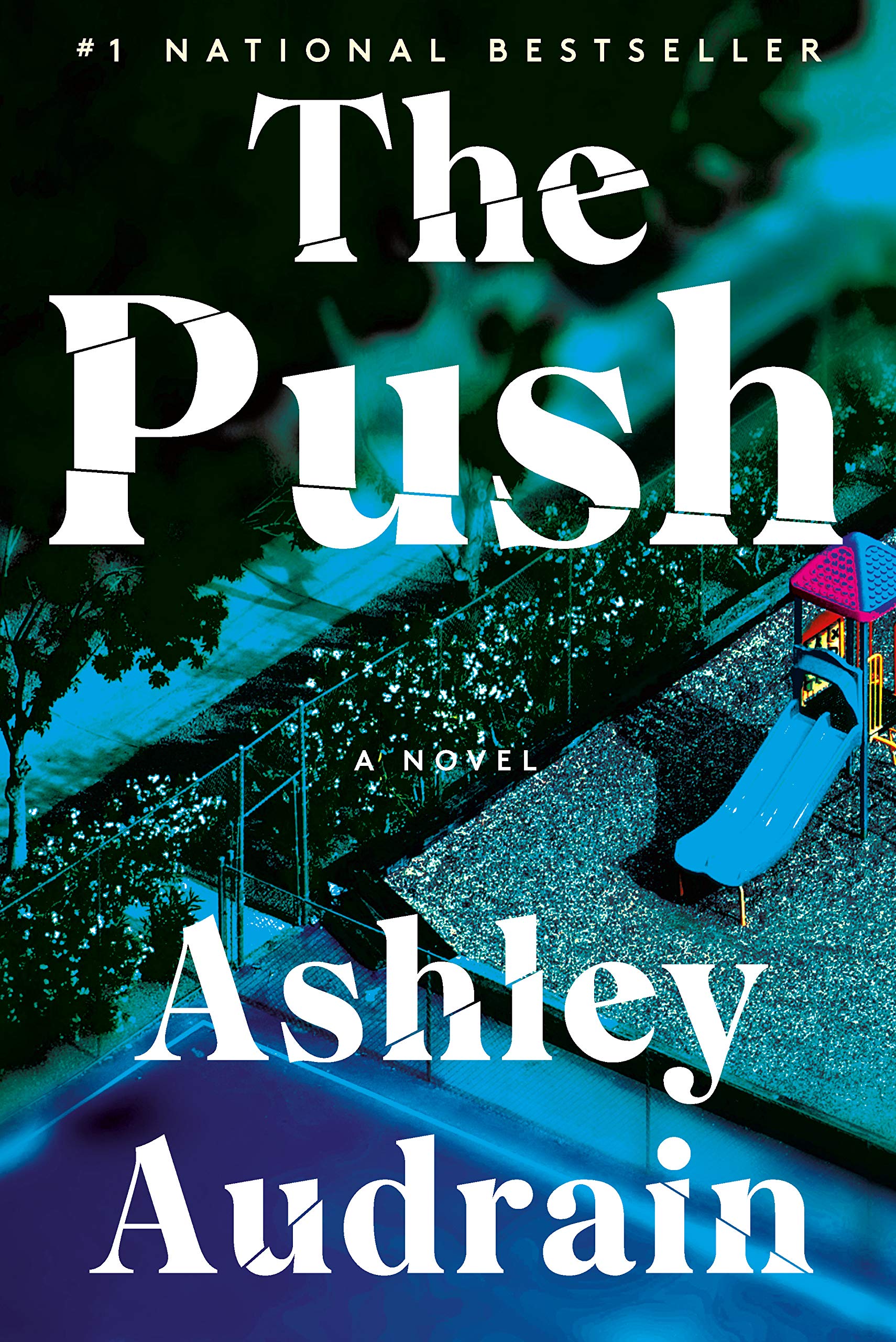 The push by Ashley Audrain