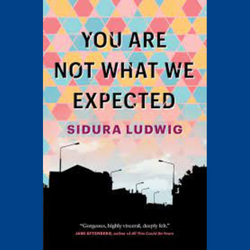 Book cover of You Are Not What We Expected by Sidura Ludwig shows a silhouette of a suburban street scene against a colourful sky. The title of the book and author's name appear in block letters against the sky.  Against the silhouette is a quote  "Gorgeous, highly visceral, deeply felt." Jami Attenberg, author of All This Could Be Yours 