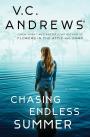 Book cover of Chasing endless summer