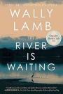 Book cover of The river is waiting
