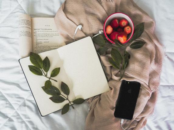Photo of books, blanket, iPhone, leaves and strawberries.