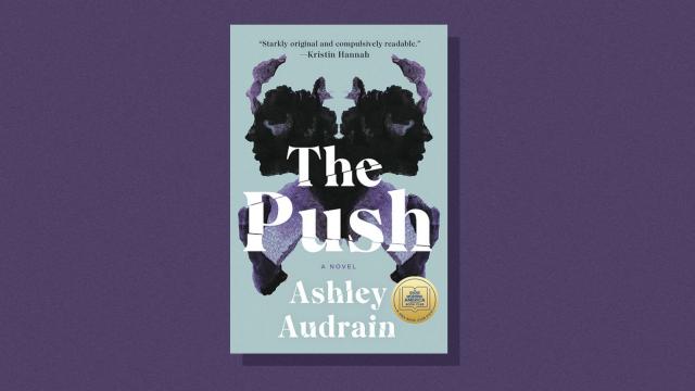 Book cover for The push