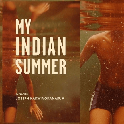 Book cover of My Indian Summer